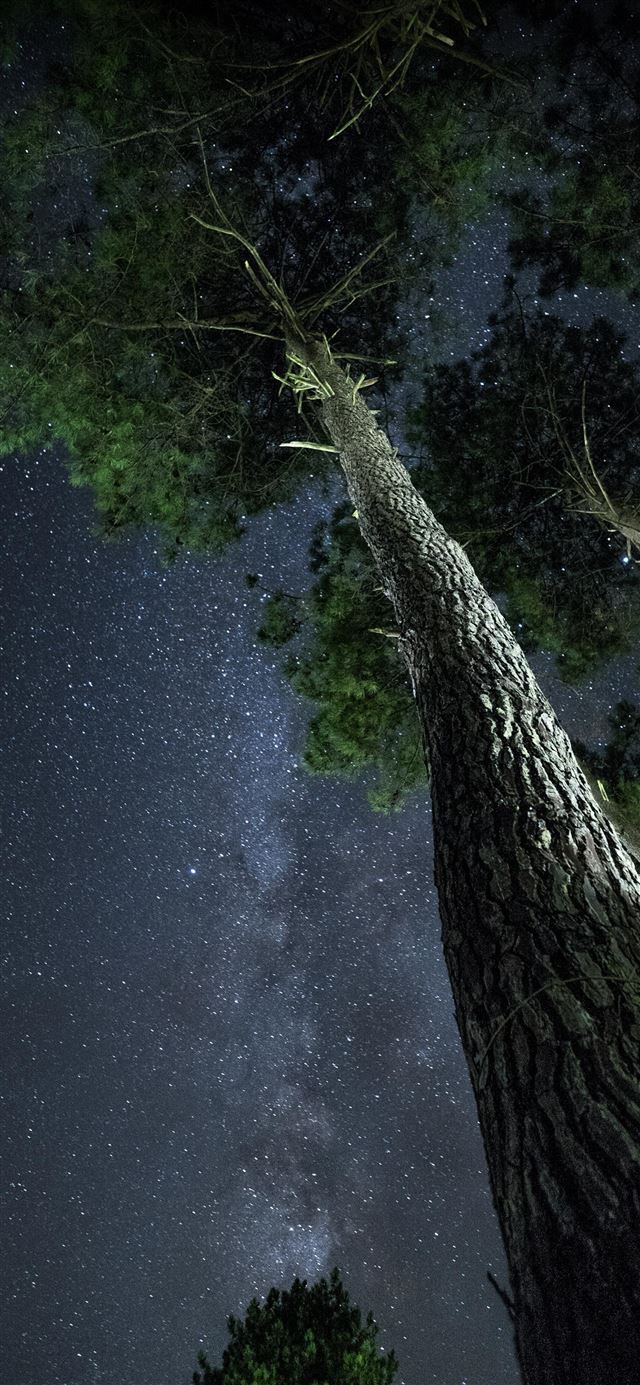 1080x1920 Grayan et l'Hôpital  France - night iPhone SE Wallpaper