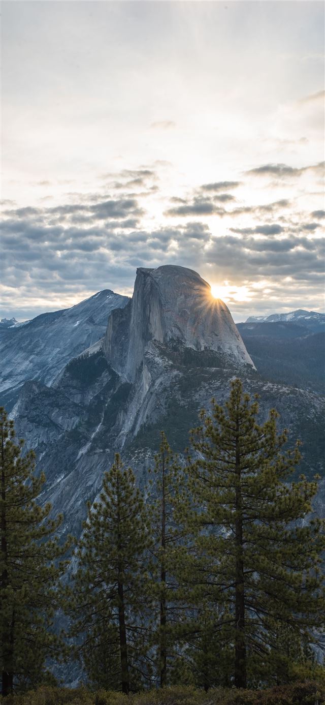 1080x1920 When the night is over - forest iPhone SE Wallpaper