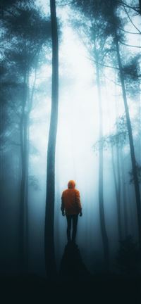 Misty Night wallpaper