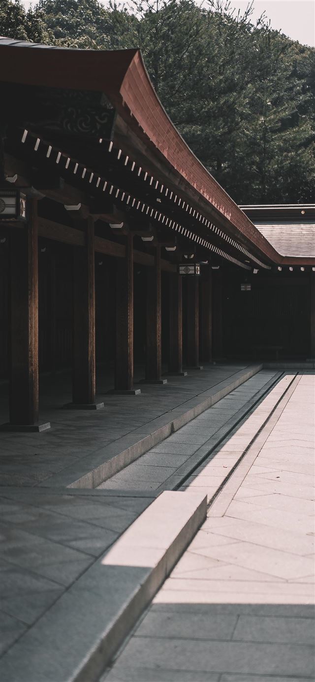 1080x1920 Yoyogi Park  Tokyo  Japan - pergola iPhone SE Wallpaper