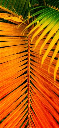 Saint François  Guadeloupe wallpaper