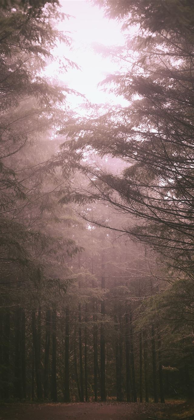 1080x1920 Tillamook  Oregon  United States - leisure activities iPhone SE Wallpaper