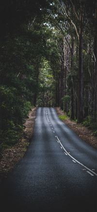 Long Mountain Road wallpaper