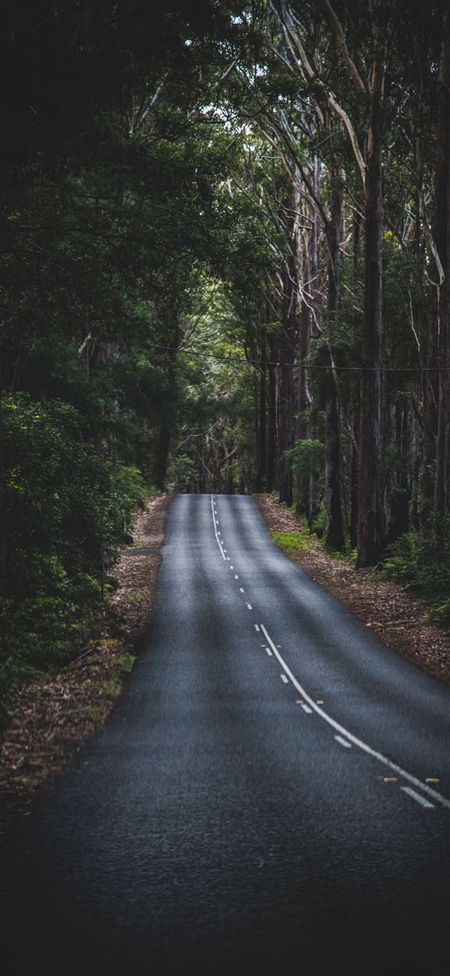 1080x1920 Long Mountain Road - tarmac iPhone SE Wallpaper