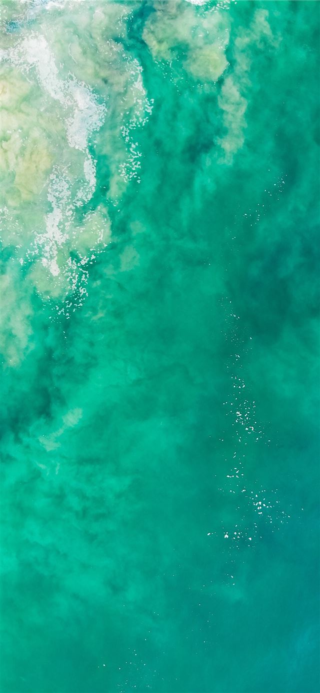 1080x1920 close up photography of body of water - animal iPhone SE Wallpaper