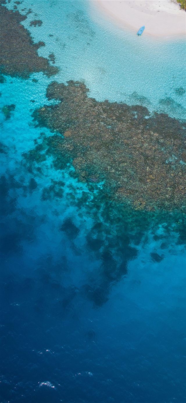 1080x1920 Maldivian lagoon  - animal iPhone SE Wallpaper