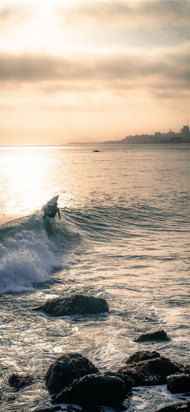 1080x1920 person surfing - animal iPhone SE Wallpaper