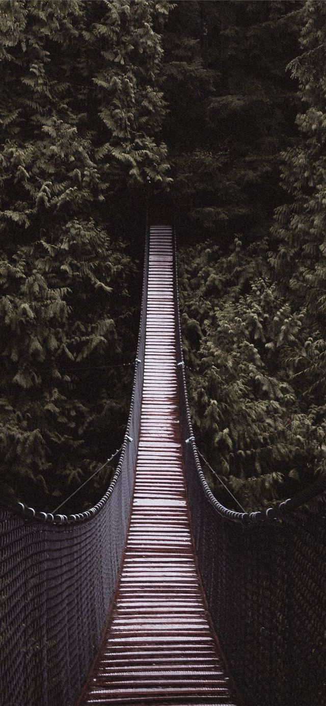 1080x1920 brown and black bridge between trees - grey iPhone SE Wallpaper