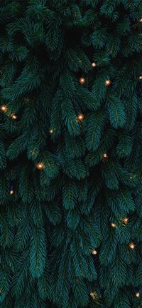 Featured image of post Aesthetic Christmas Lights Wallpaper Iphone
