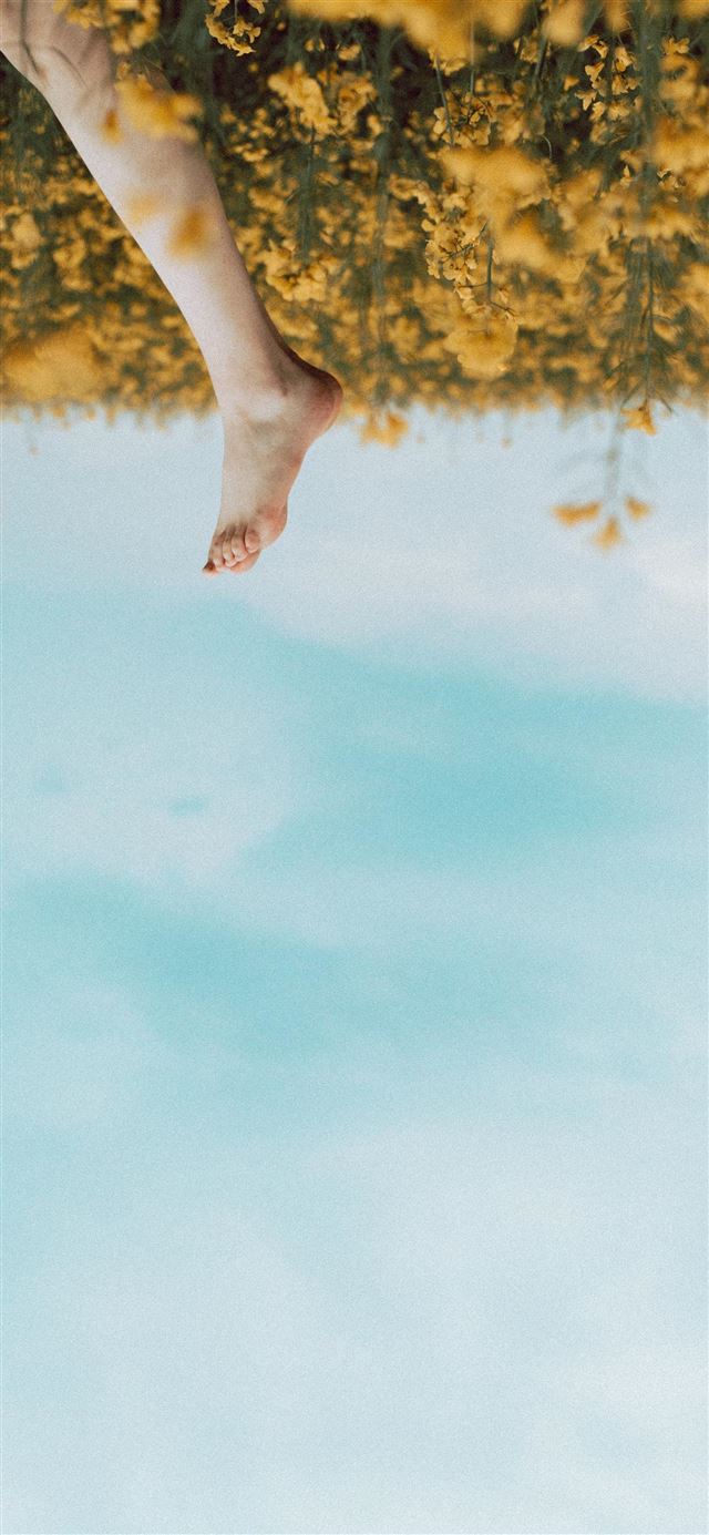 1080x1920 person's foot in a yellow flower field during dayt... - flower iPhone SE Wallpaper