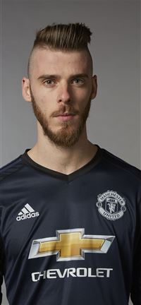 Manchester United goalkeeper David De Gea Official... wallpaper
