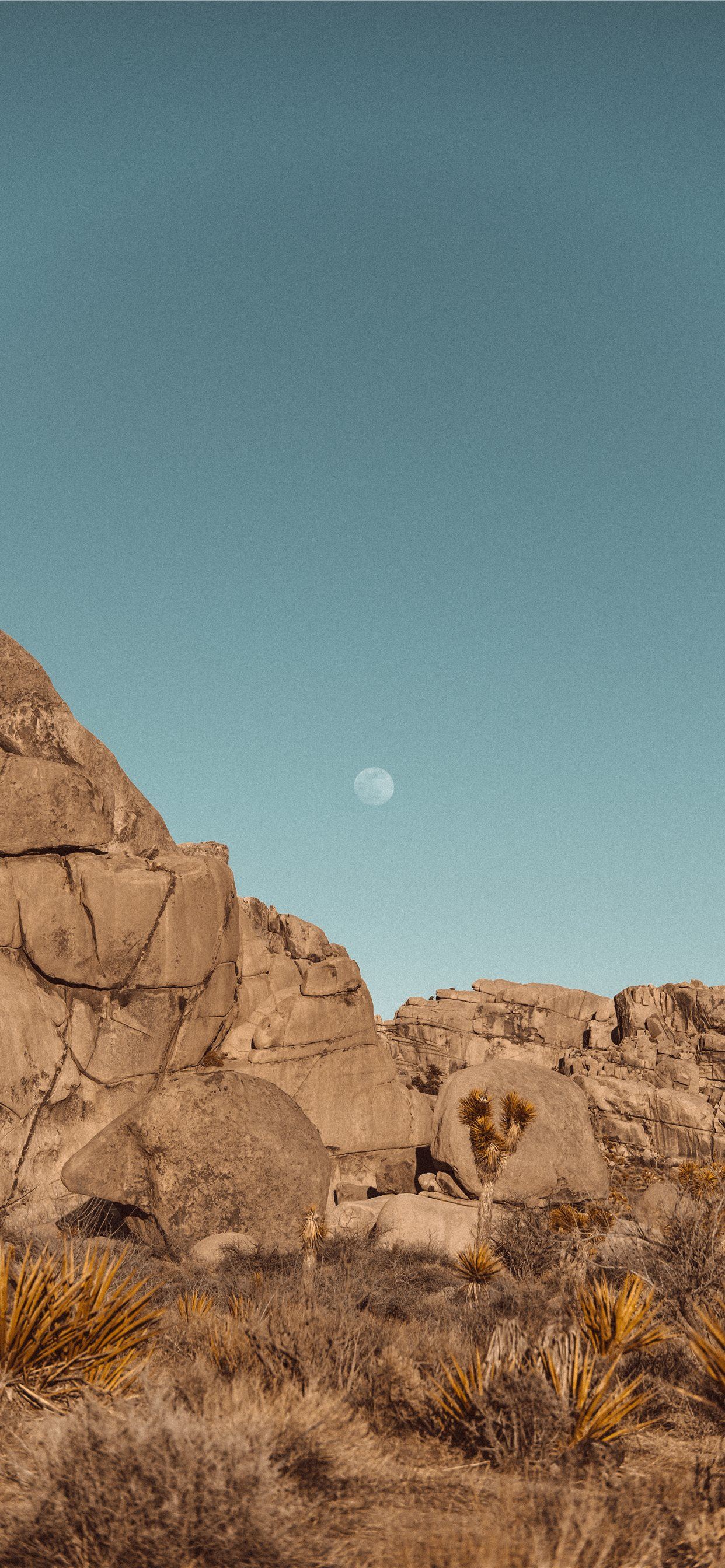 brown rock formation under blue sky during daytime iPhone SE wallpaper 