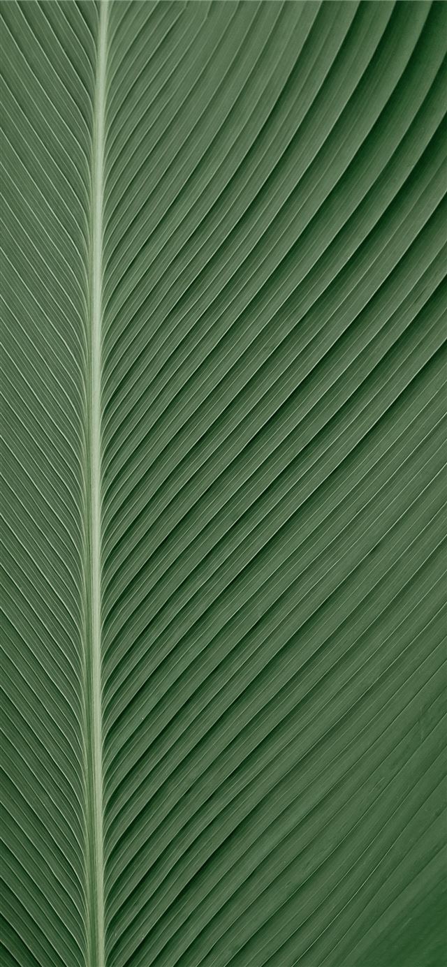 1080x1920 green and white striped textile - abstract iPhone SE Wallpaper