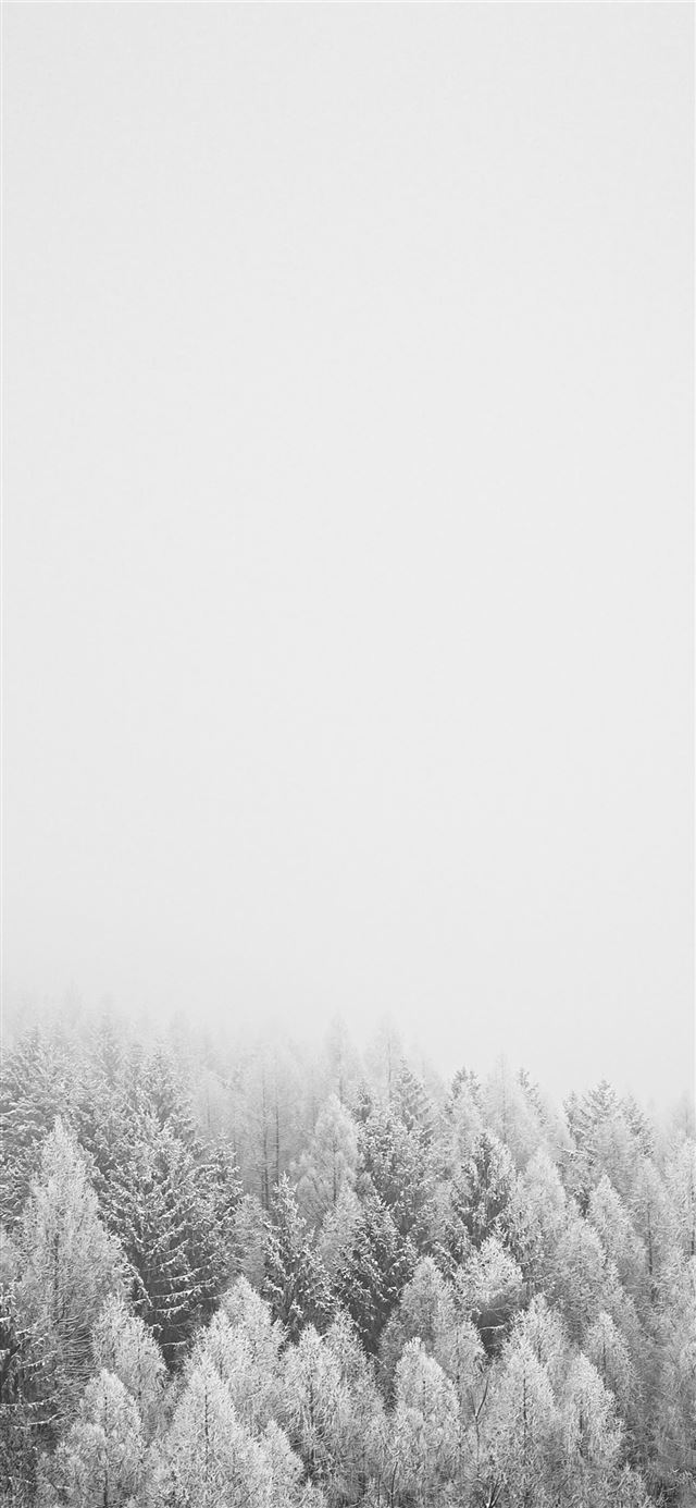 1080x1920 snow covered trees during daytime - grey iPhone SE Wallpaper