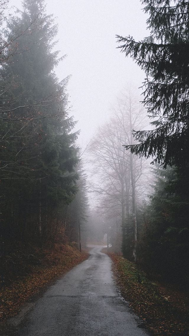 640x1136 rocky road between trees at daytime - france iPhone Wallpaper