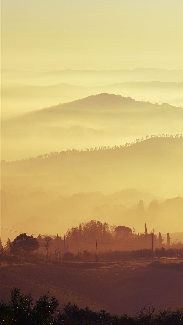 640x1136 landscape mountain range trees woodland forest mis... - trees iPhone Wallpaper