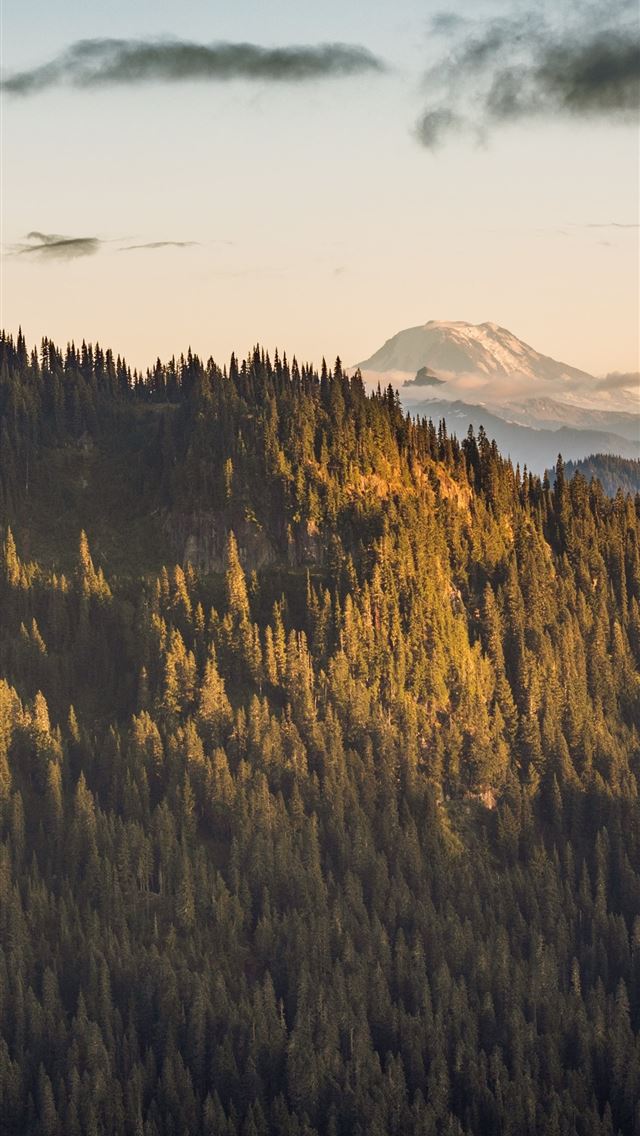 640x1136 mt adams view from the distance - mountains iPhone Wallpaper