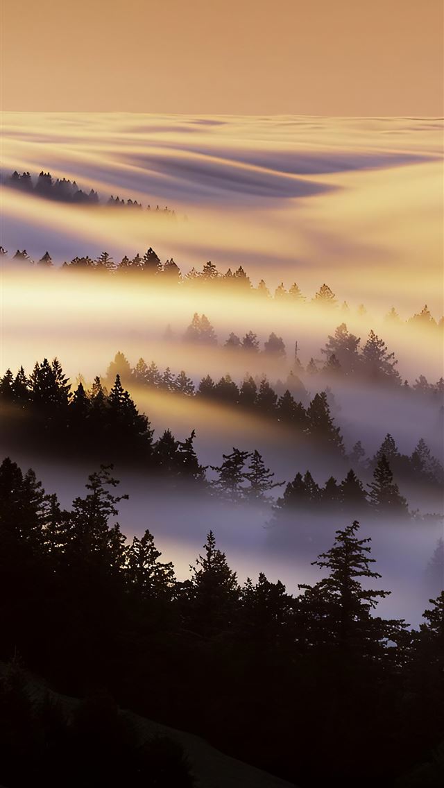 640x1136 marin county mist morning 4k - mist iPhone Wallpaper