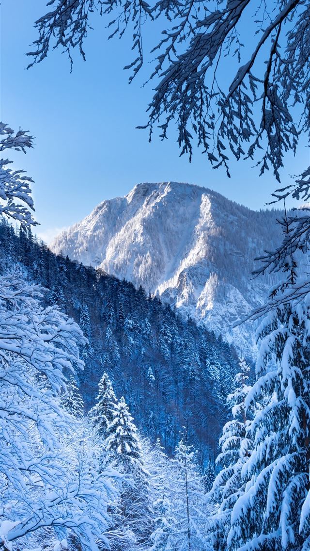 640x1136 snow alps austria 5k - alps iPhone Wallpaper