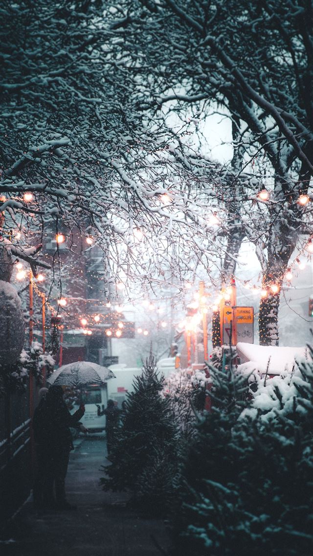 640x1136 person holding umbrella near streetlight and trees... - winter iPhone Wallpaper