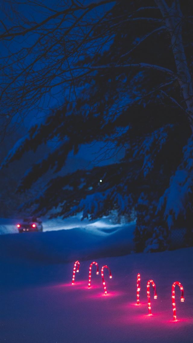 640x1136 lighted candy cane and surrounded by snow - winter iPhone Wallpaper