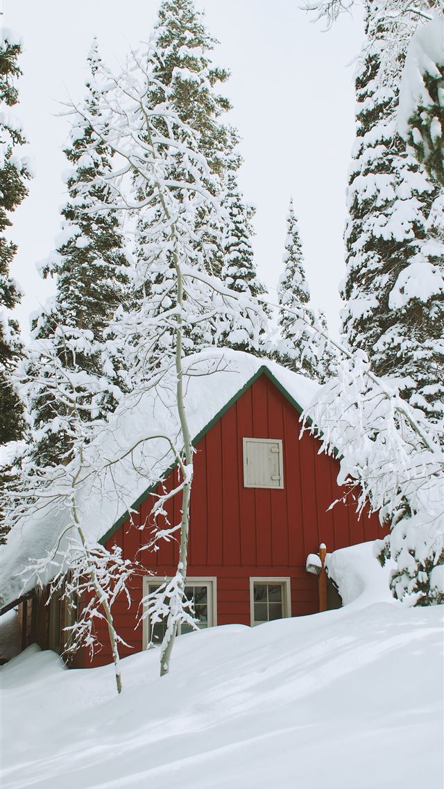 640x1136 snow covered wooden house during daytime - winter iPhone Wallpaper