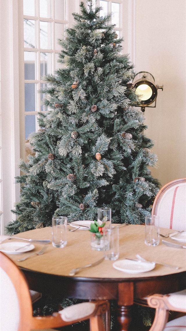 640x1136 pre lit tree behind dining set - holiday iPhone Wallpaper