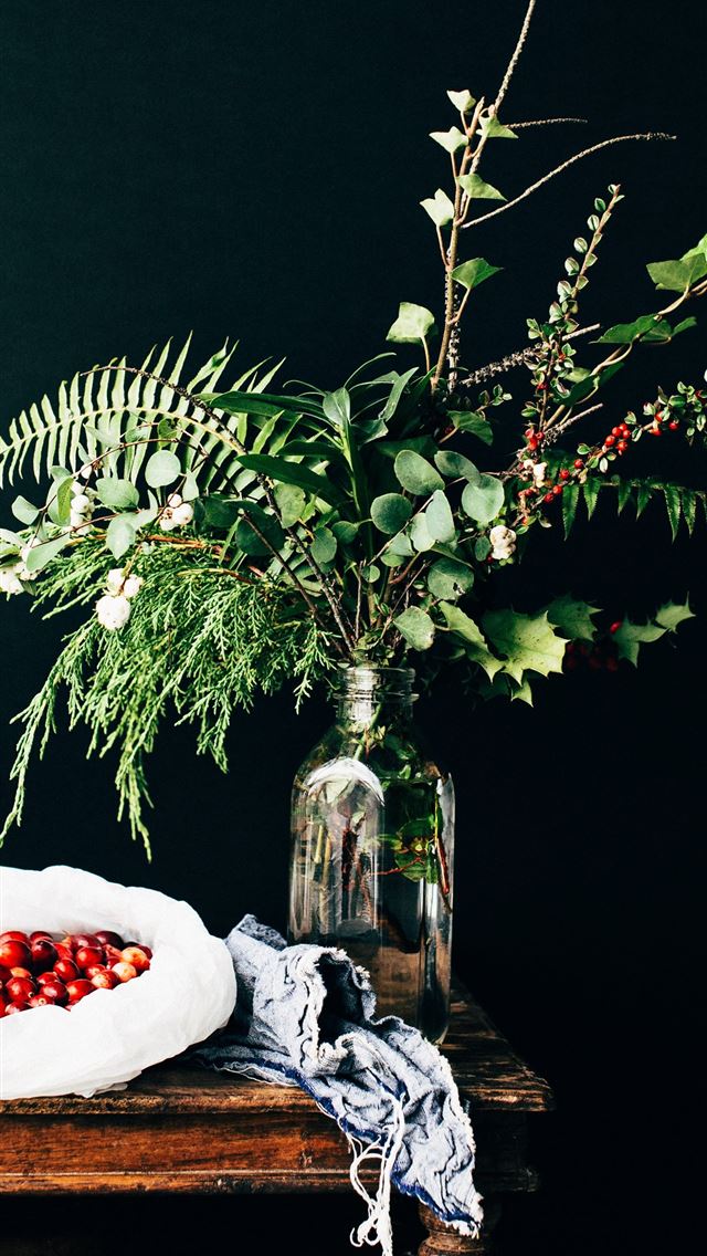 640x1136 green leafed plant on clear glass bottle on top of... - holiday iPhone Wallpaper