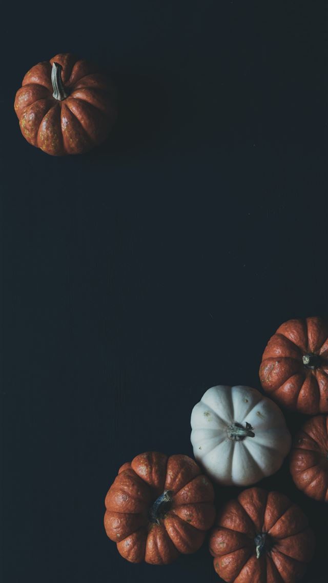 640x1136 five orange and one white pupkins - scott webb photography iPhone Wallpaper