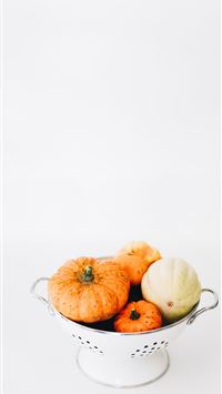 four round orange squashes on colander wallpaper