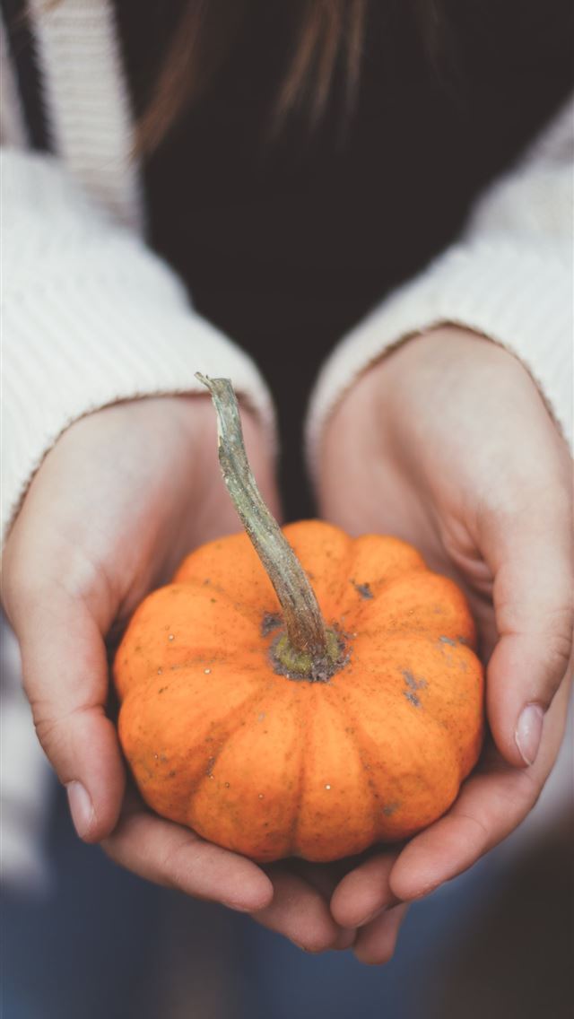 640x1136 person holding pumpkin - thanksgiving iPhone Wallpaper