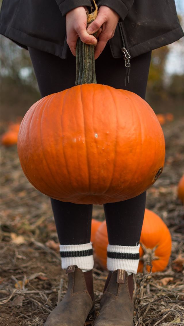 640x1136 child carrying orange pumpkin - canada iPhone Wallpaper