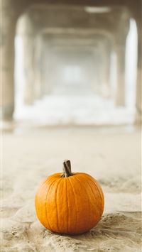 orange pumpkin on surface wallpaper