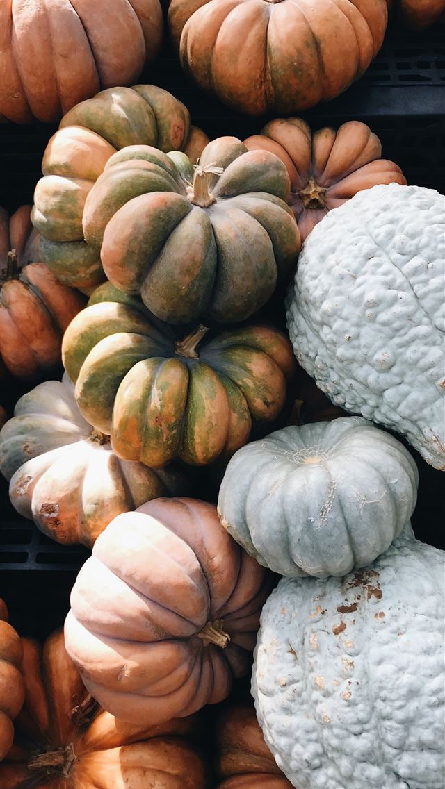 640x1136 orange pumpkin lot - food iPhone Wallpaper