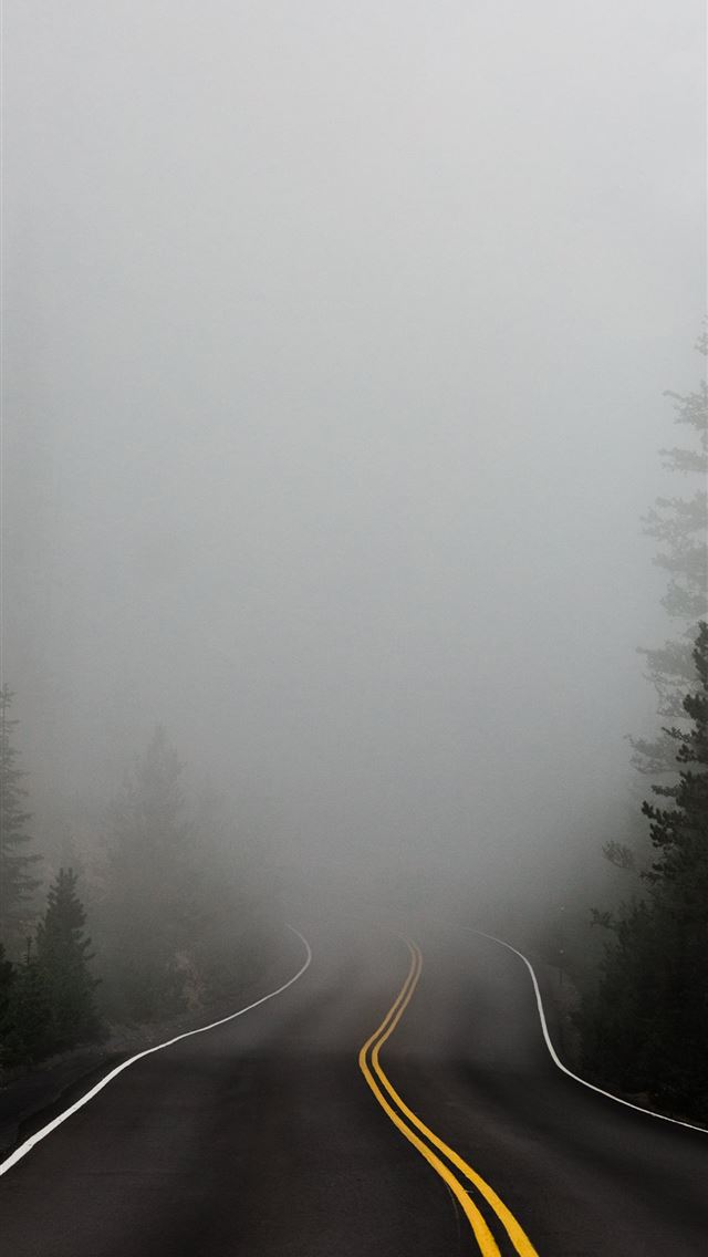 640x1136 empty road surrounded with trees with fog - road iPhone Wallpaper