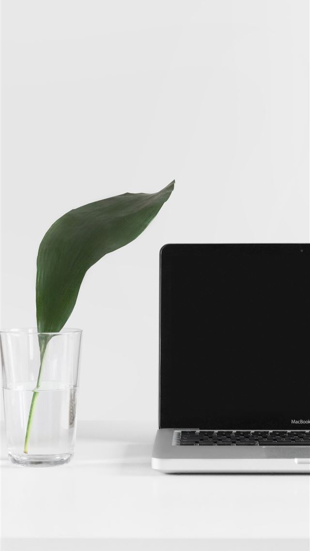 640x1136 MacBook Pro beside plant in vase - simple iPhone Wallpaper