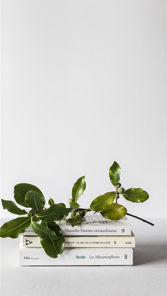 640x1136 green leafed plant - green iPhone Wallpaper