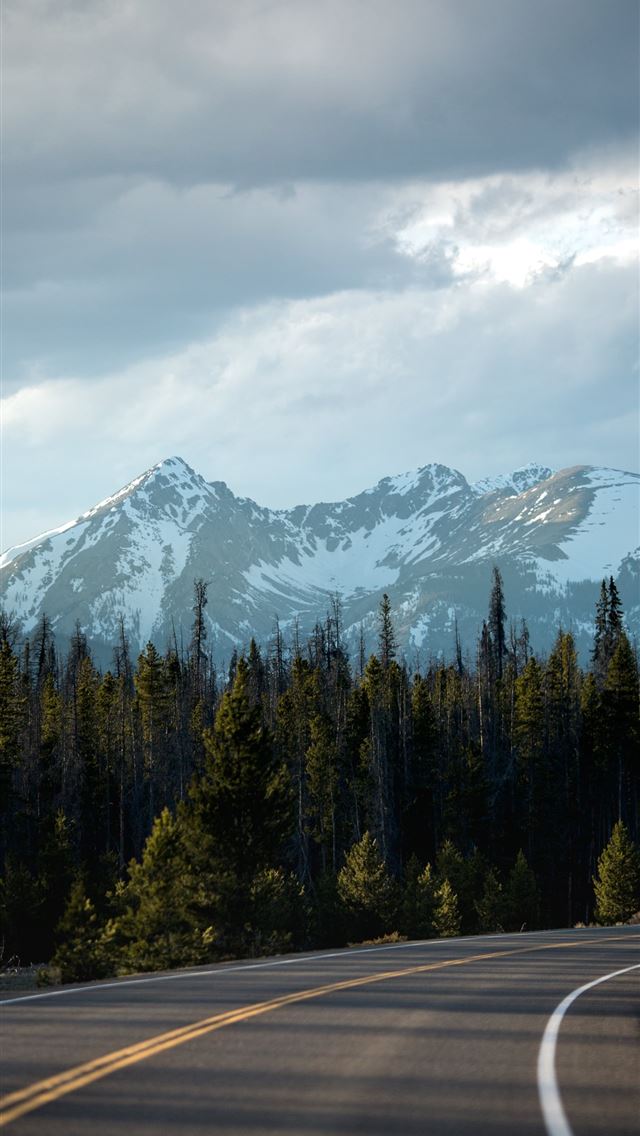 640x1136 green trees beside black asphalt road - trees iPhone Wallpaper