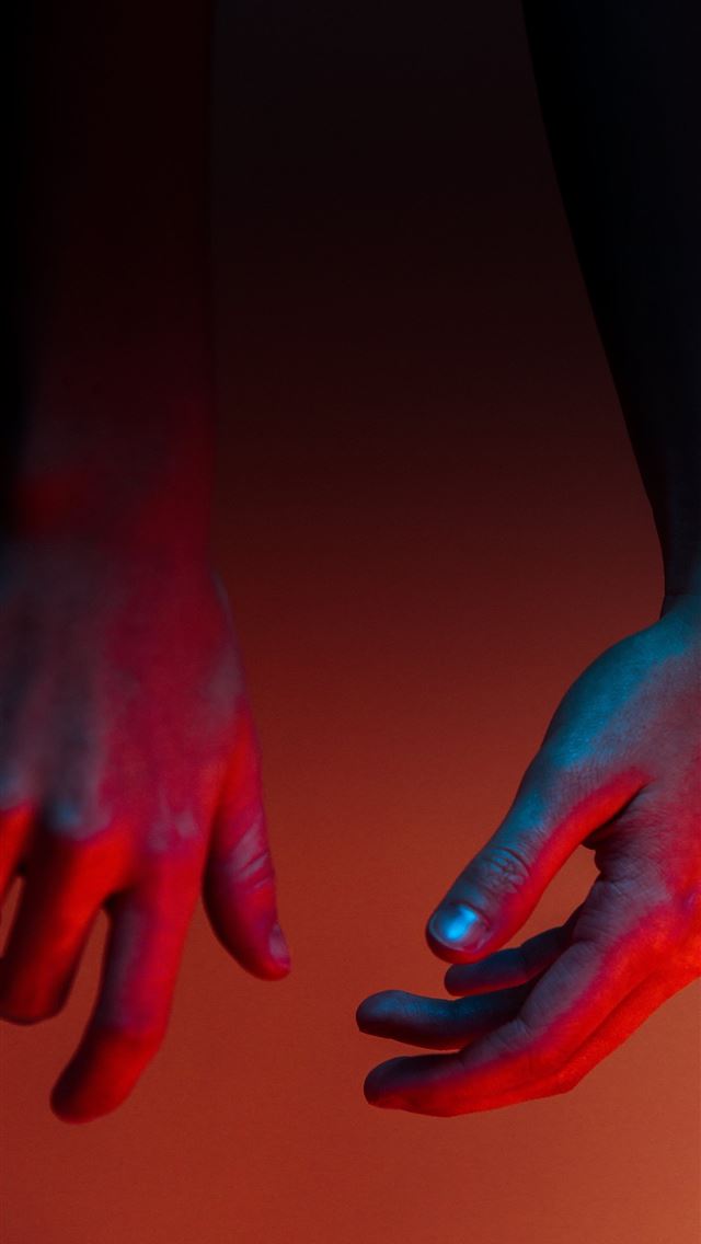 640x1136 photo of person's hands - bird iPhone Wallpaper