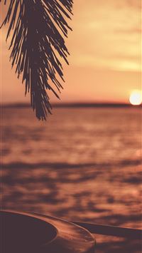 silhouette of tree with body of water background wallpaper