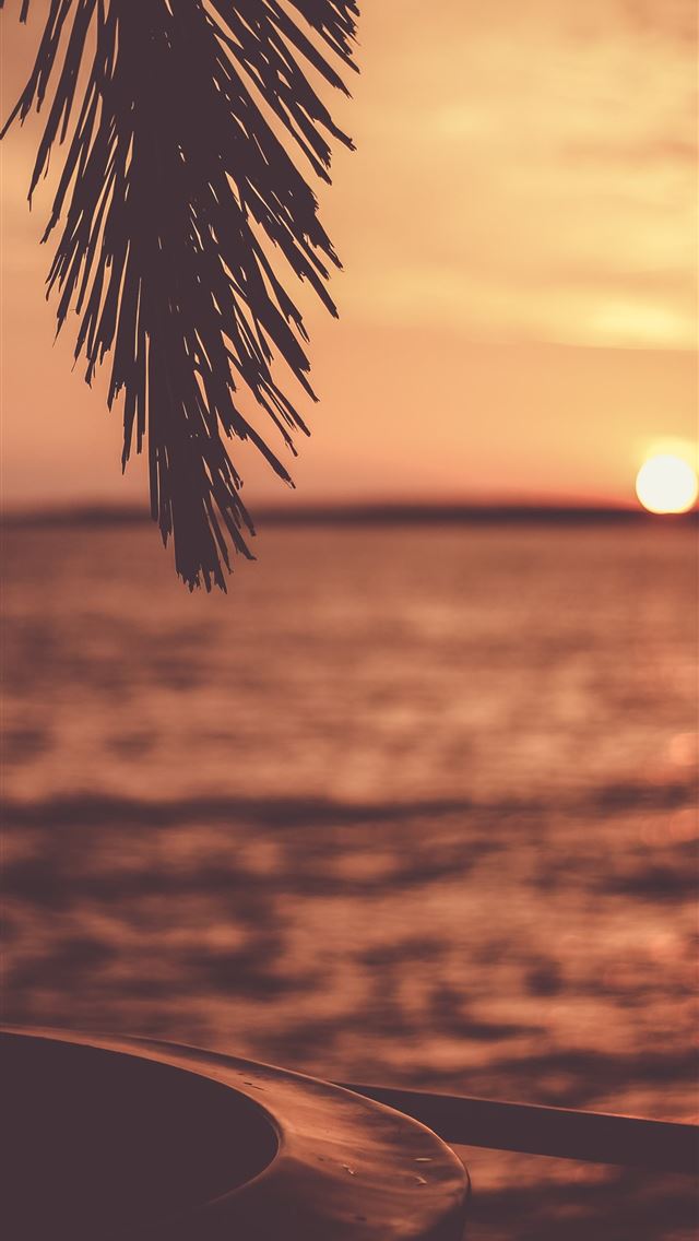 640x1136 silhouette of tree with body of water background - mexico iPhone Wallpaper