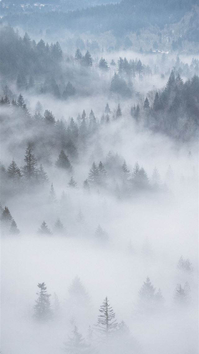 640x1136 aerial photography of fog covered forest - simple iPhone Wallpaper