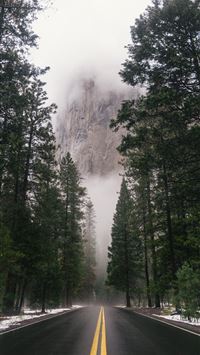 black concrete road surrounded by trees during day... wallpaper