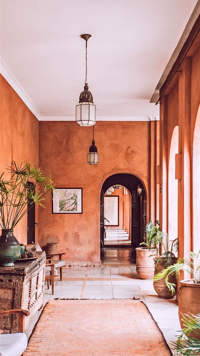 640x1136 planters with plant near area rug inside room - morocco iPhone Wallpaper