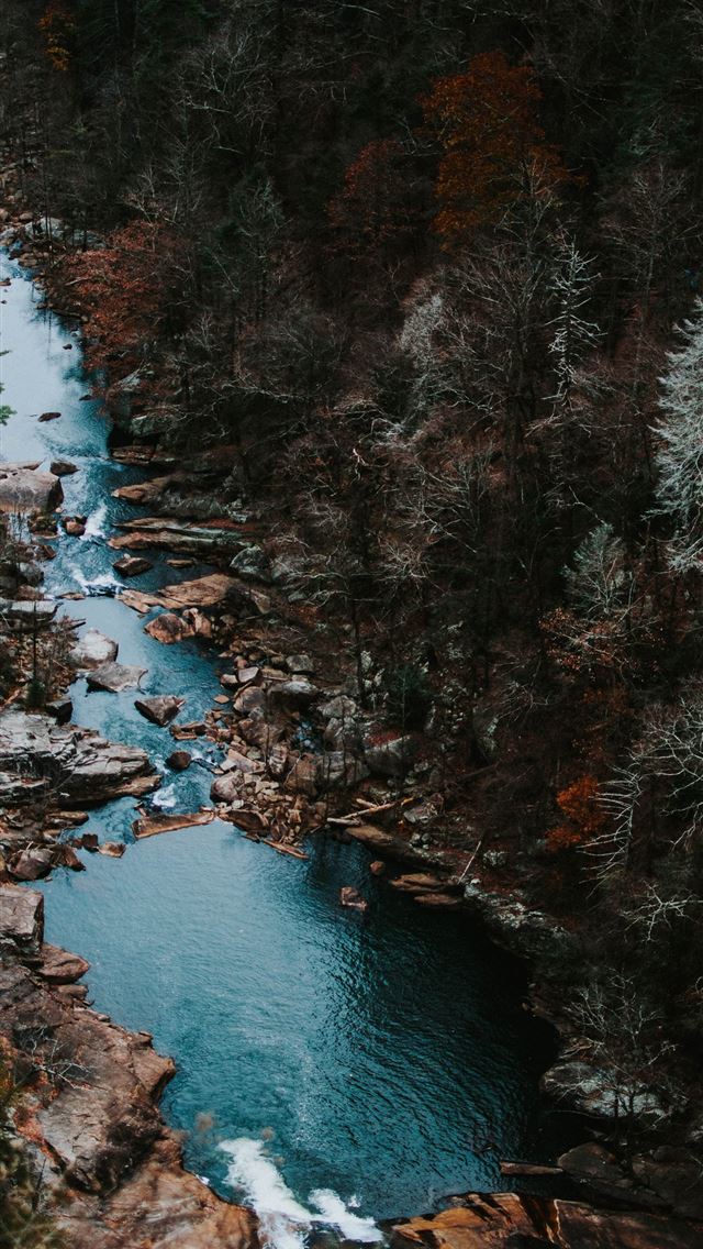 640x1136 aerial photography of body of water with trees aro... - autumn iPhone Wallpaper