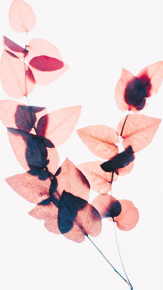 640x1136 brown leaves - paper iPhone Wallpaper