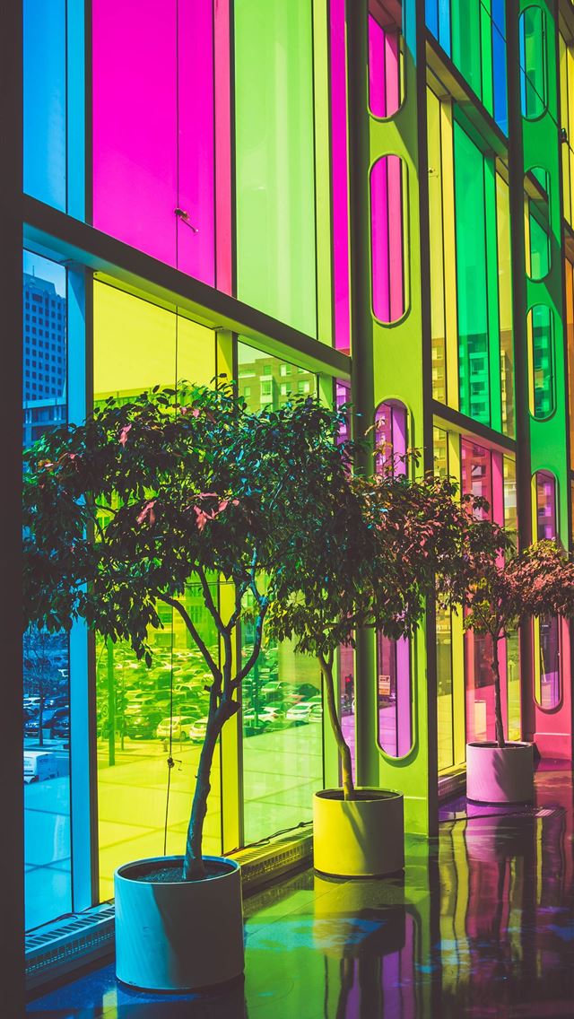 640x1136 photo of green leafed plants inside building - colors iPhone Wallpaper