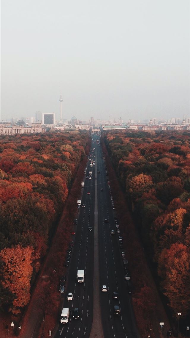 640x1136 gray road in between lush forest - deutschland iPhone Wallpaper