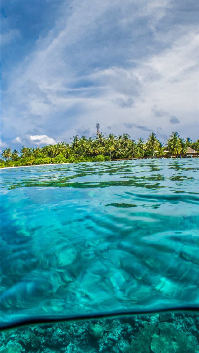 640x1136 green leafed trees surrounded by body of water dur... - holidays iPhone Wallpaper