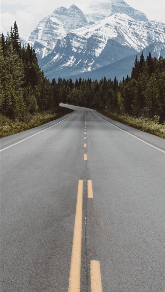 640x1136 gray pavement road surrounded by trees taken at da... - road iPhone Wallpaper